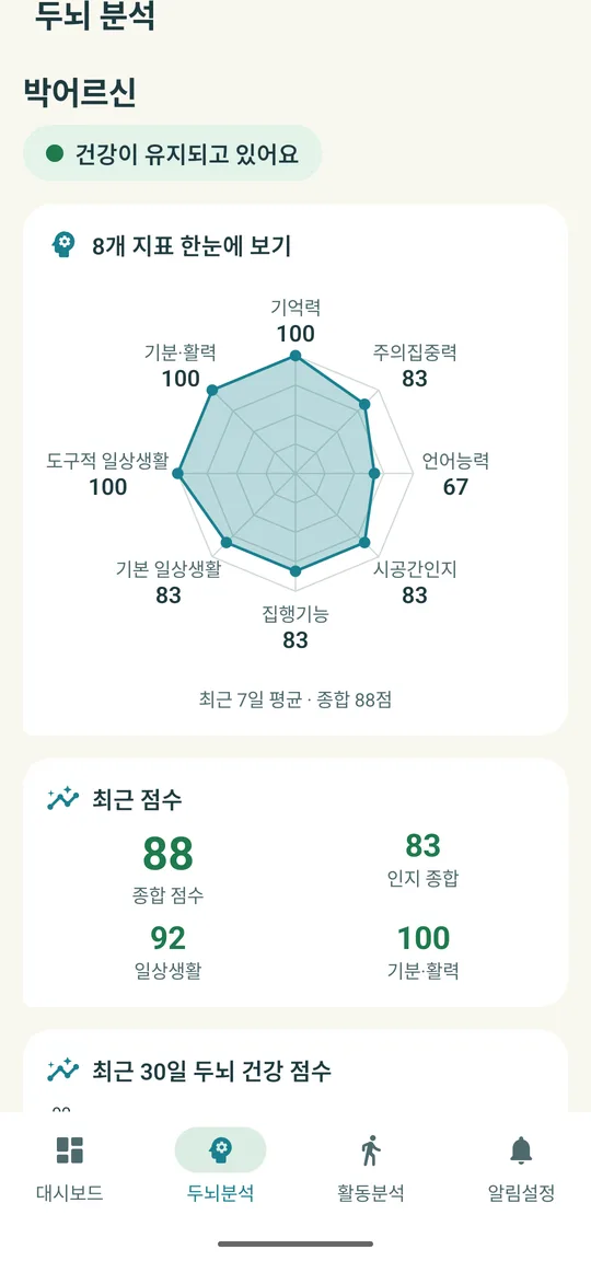 두뇌 분석 레이더 차트